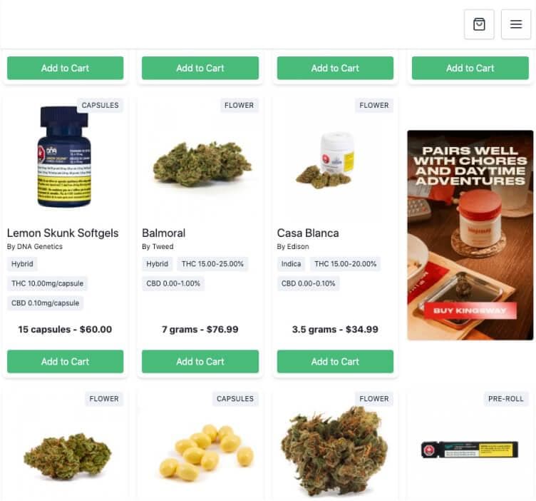 Example of Advertising inside the Buddi application